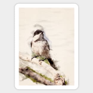 Tree Swallow in Watercolor Sticker